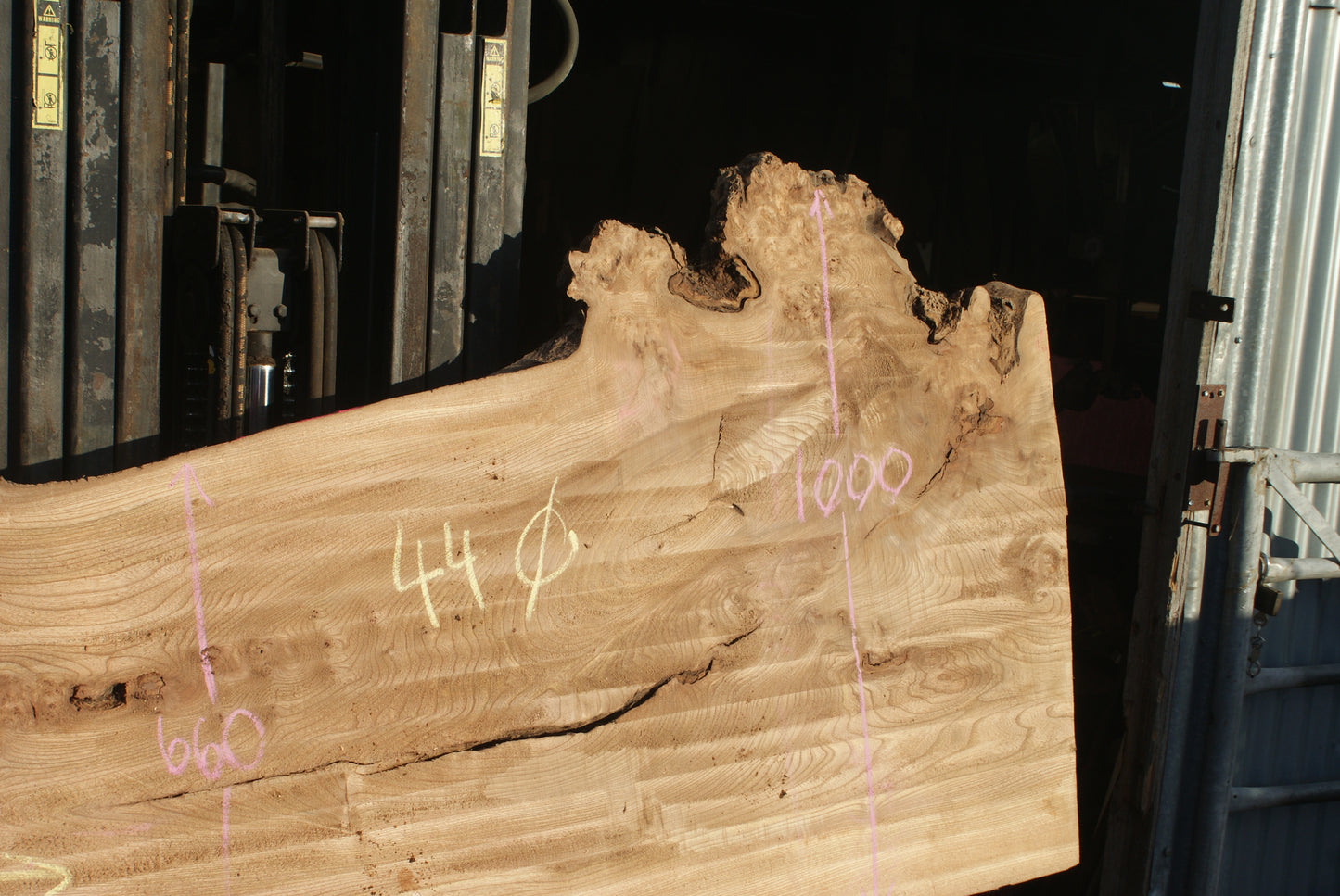 Burr Elm Slab, Kiln Dried 2370 L x 1010 - 585 W x 44 D mm (289)