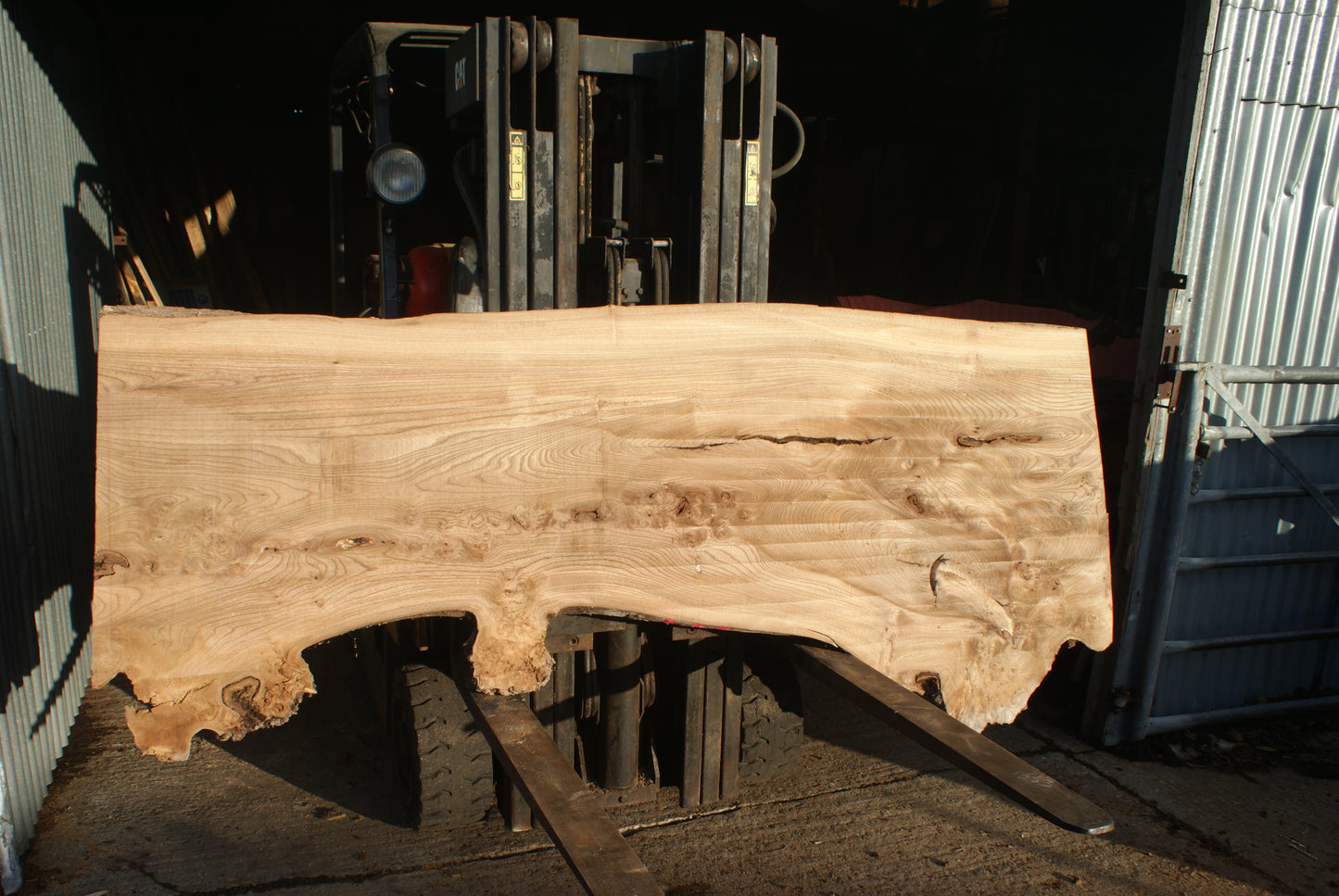 Burr Elm Slab, Kiln Dried 2370 L x 1010 - 585 W x 44 D mm (289)