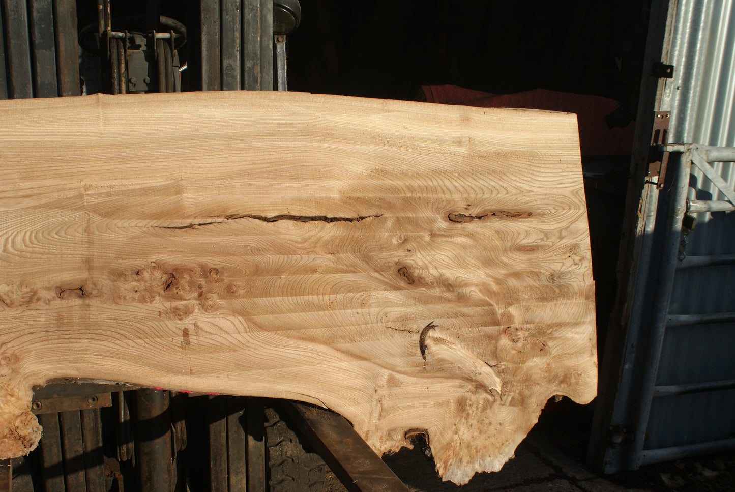 Burr Elm Slab, Kiln Dried 2370 L x 1010 - 585 W x 44 D mm (289)