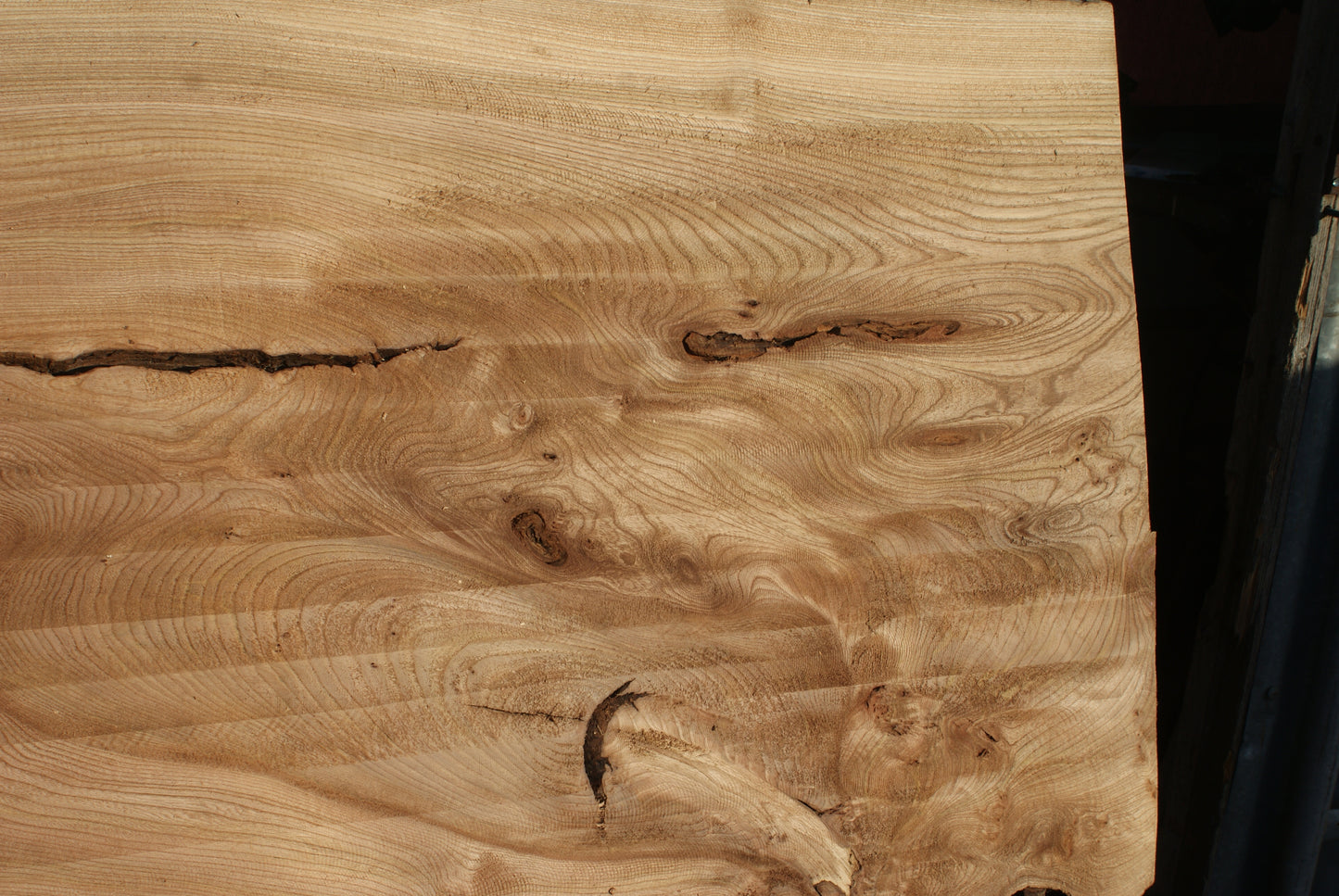 Burr Elm Slab, Kiln Dried 2370 L x 1010 - 585 W x 44 D mm (289)