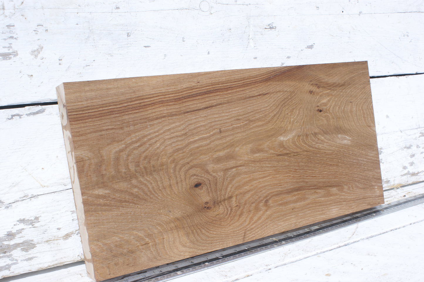 English Elm, slab, shelf, board (555)