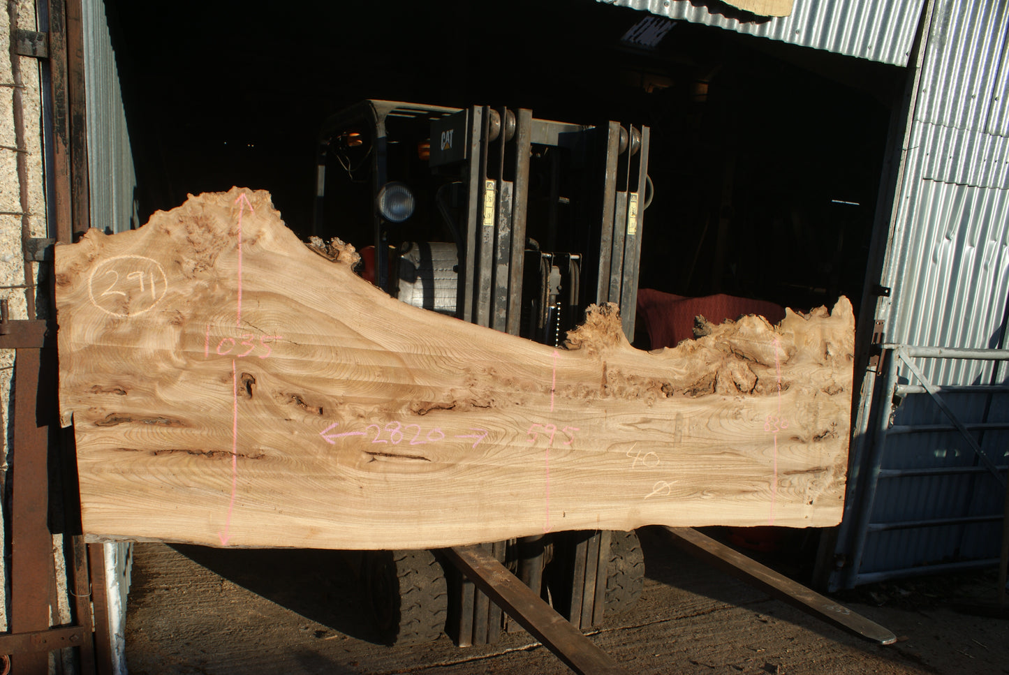 Burr Elm Slab, Kiln Dried 1600 L x 1000 - 545 W x 38 D mm (291)