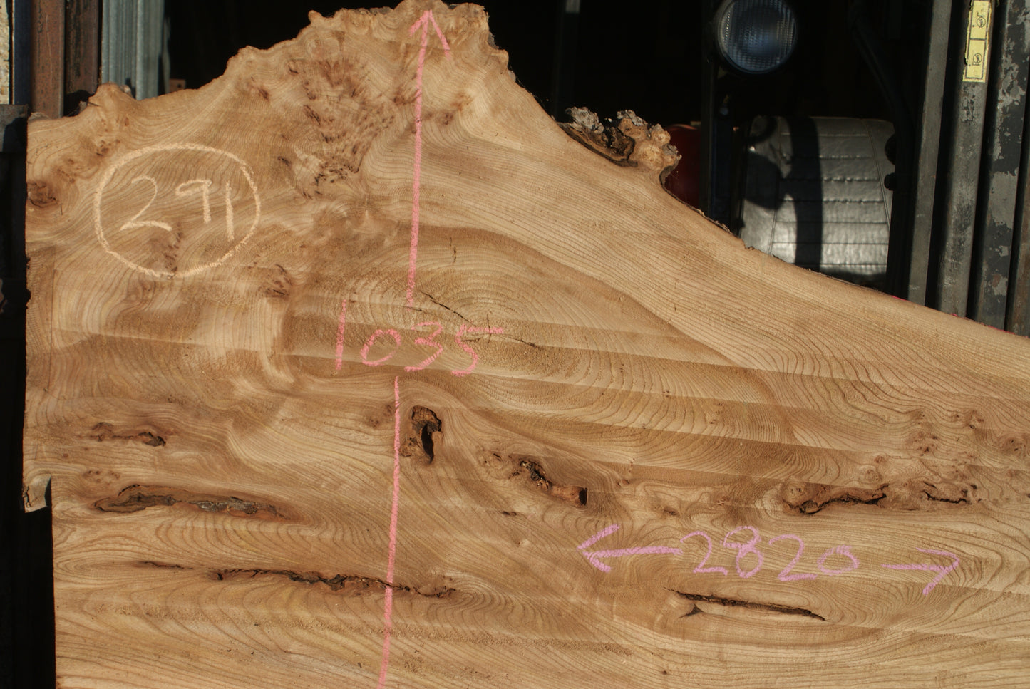 Burr Elm Slab, Kiln Dried 1600 L x 1000 - 545 W x 38 D mm (291)