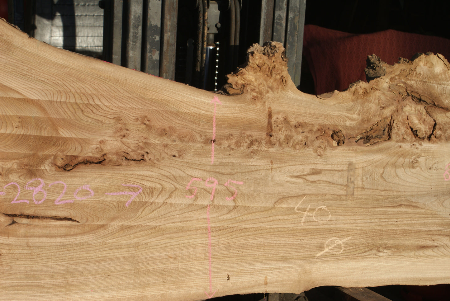 Burr Elm Slab, Kiln Dried 1600 L x 1000 - 545 W x 38 D mm (291)