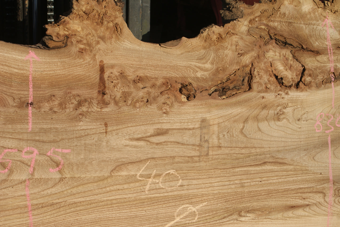 Burr Elm Slab, Kiln Dried 1600 L x 1000 - 545 W x 38 D mm (291)