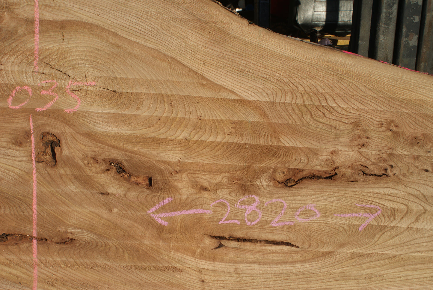 Burr Elm Slab, Kiln Dried 1600 L x 1000 - 545 W x 38 D mm (291)
