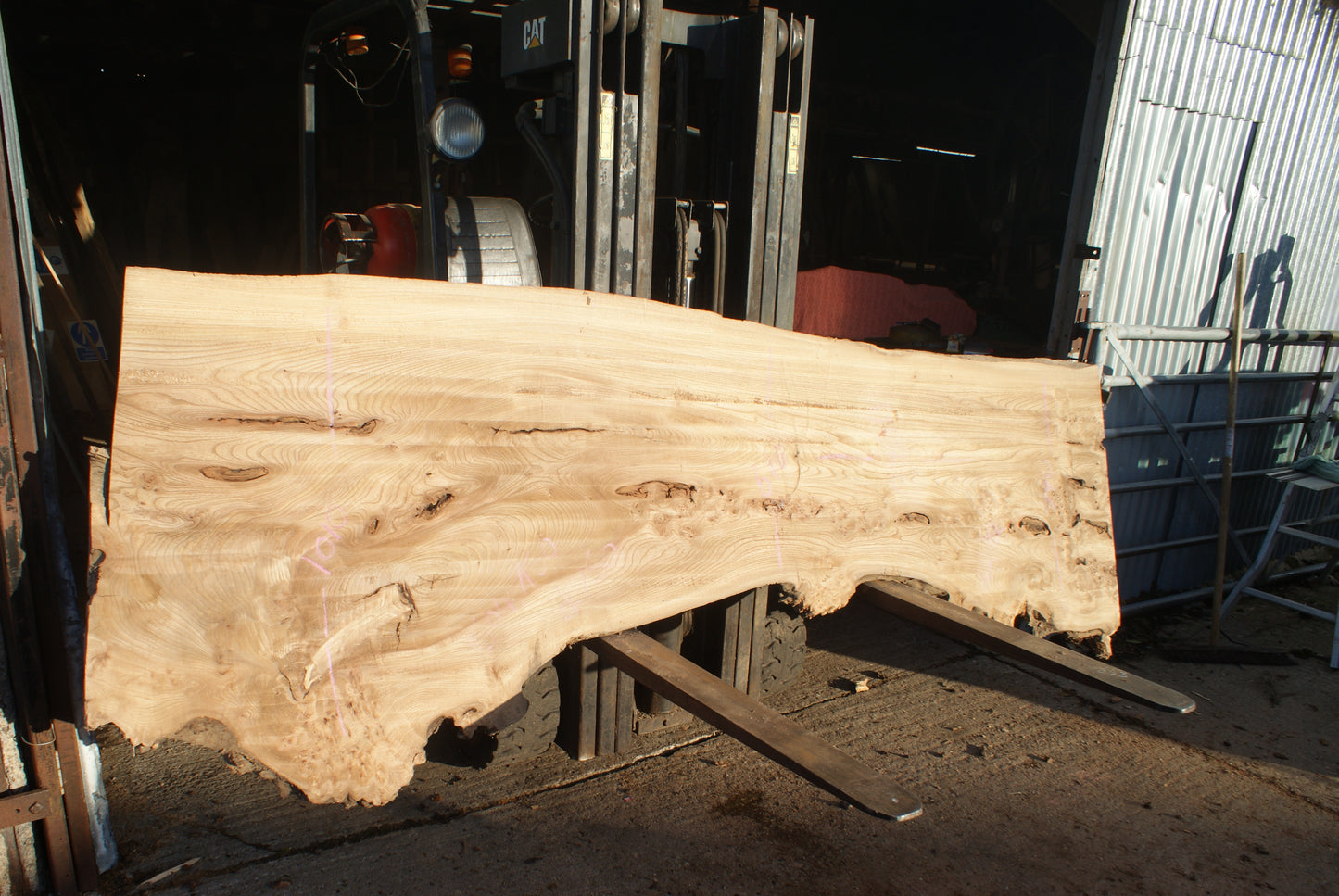 Burr Elm Slab, Kiln Dried 1600 L x 1000 - 545 W x 38 D mm (291)