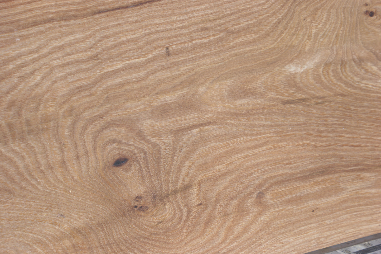 English Elm, slab, shelf, board (555)
