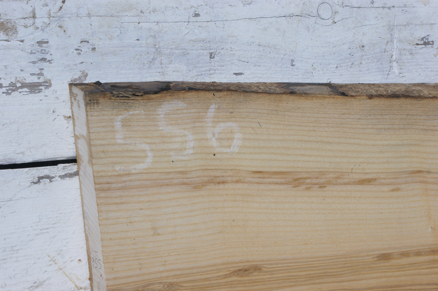 English Ash board (556)