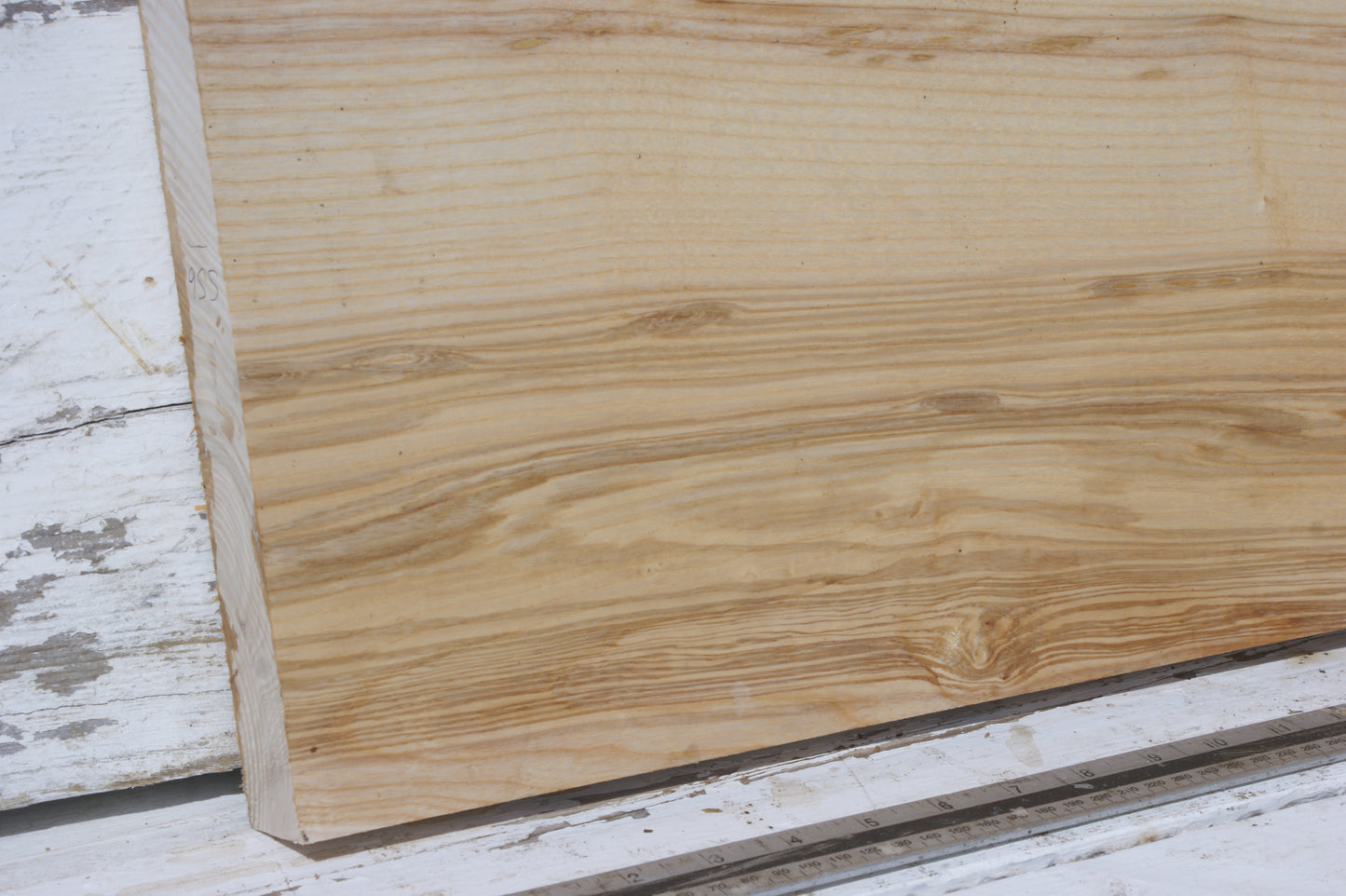 English Ash board (556)