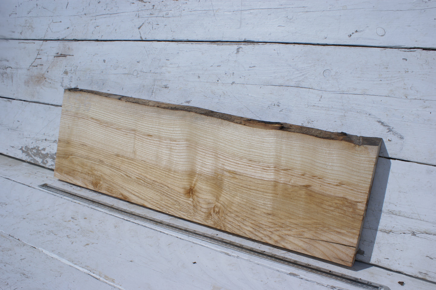 English Ash board (556)