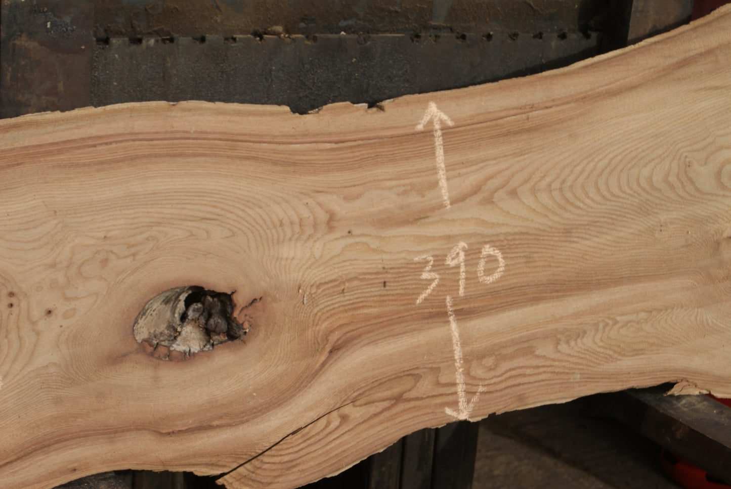 Elm Slab, Kiln Dried 2550 L x 560- 368 W x 47D mm (294)