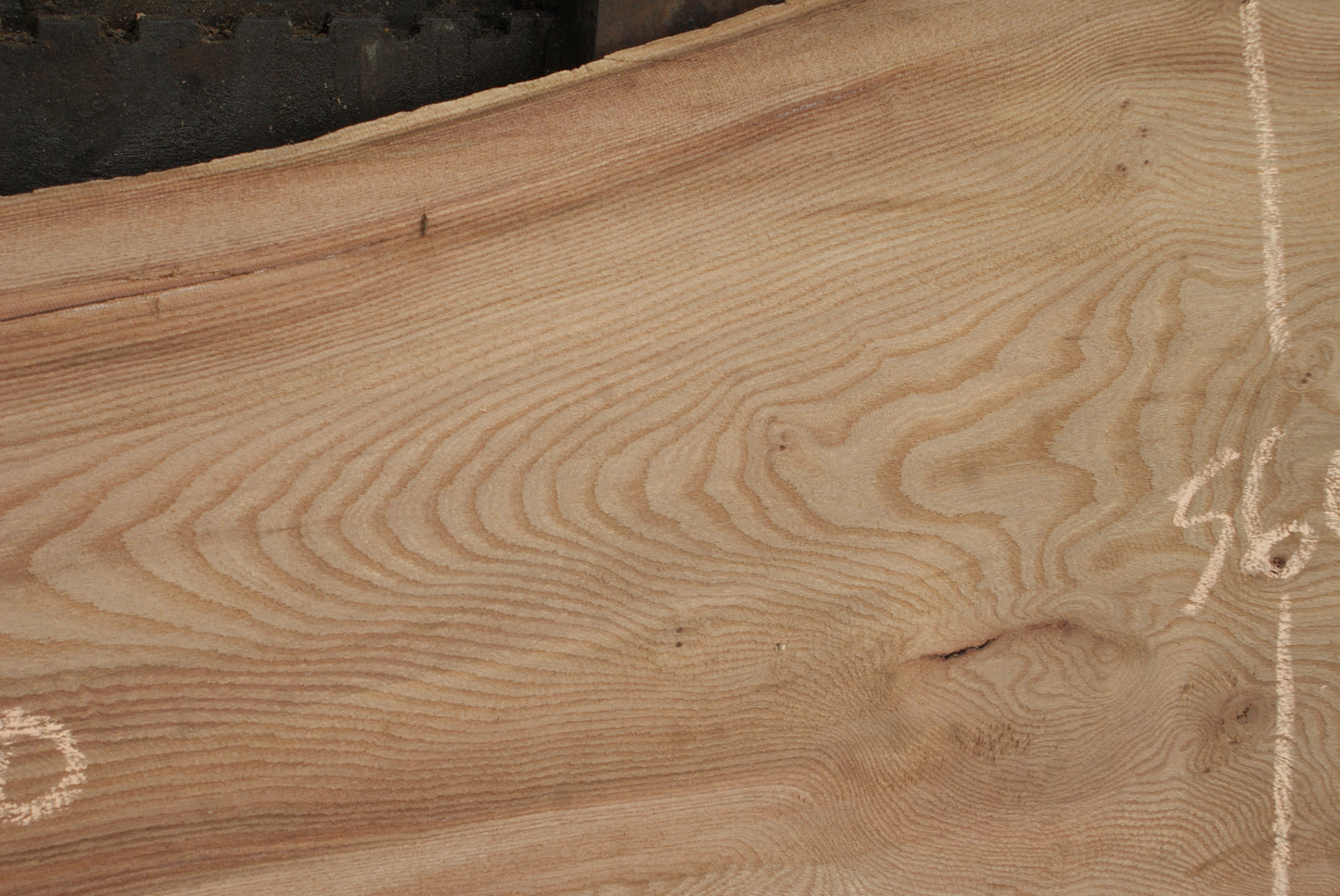 Elm Slab, Kiln Dried 2550 L x 560- 368 W x 47D mm (294)