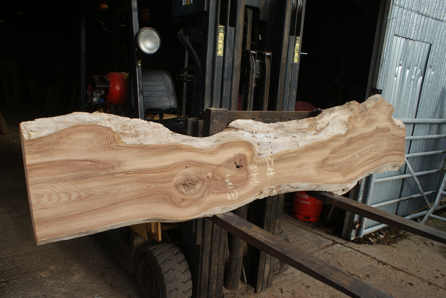 Elm Slab, Kiln Dried 2550 L x 560- 368 W x 47D mm (294)