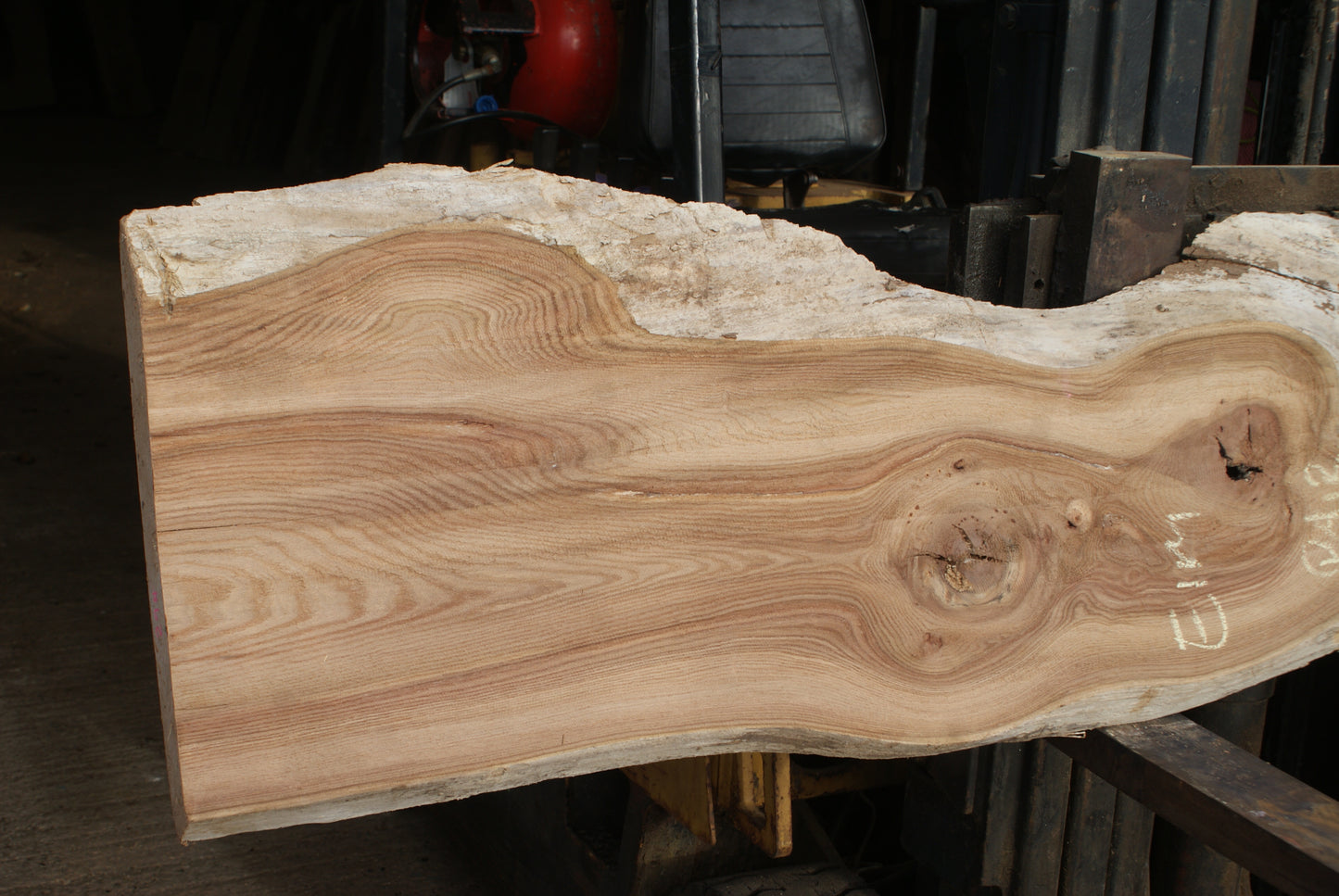 Elm Slab, Kiln Dried 2550 L x 560- 368 W x 47D mm (294)