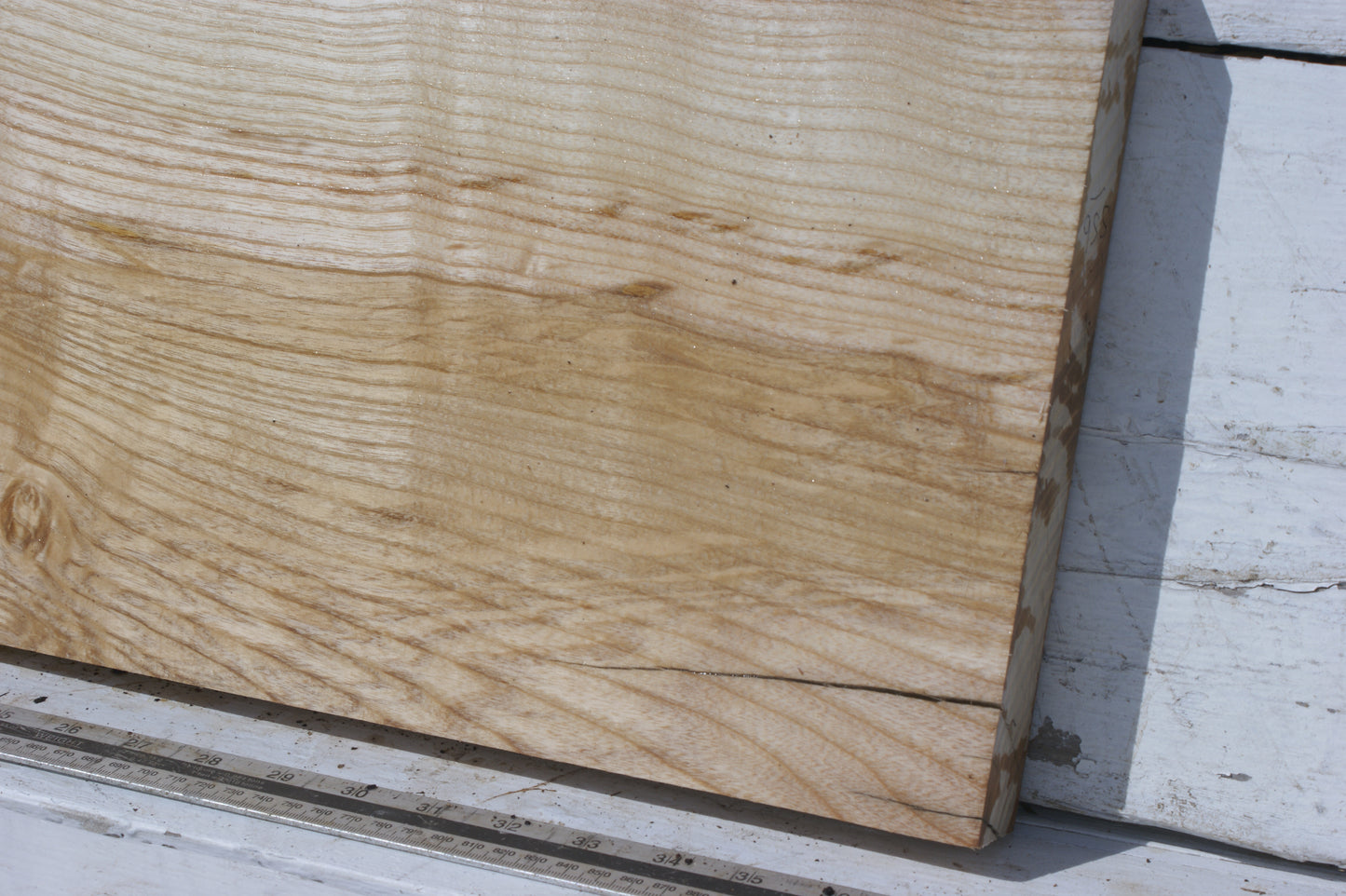 English Ash board (556)