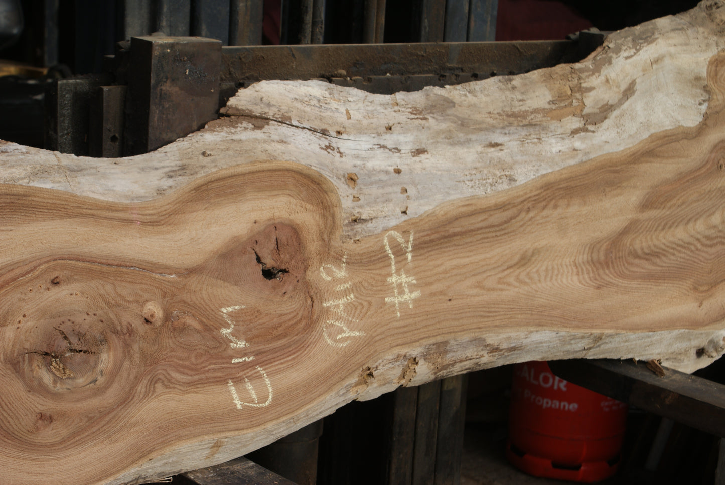 Elm Slab, Kiln Dried 2550 L x 560- 368 W x 47D mm (294)