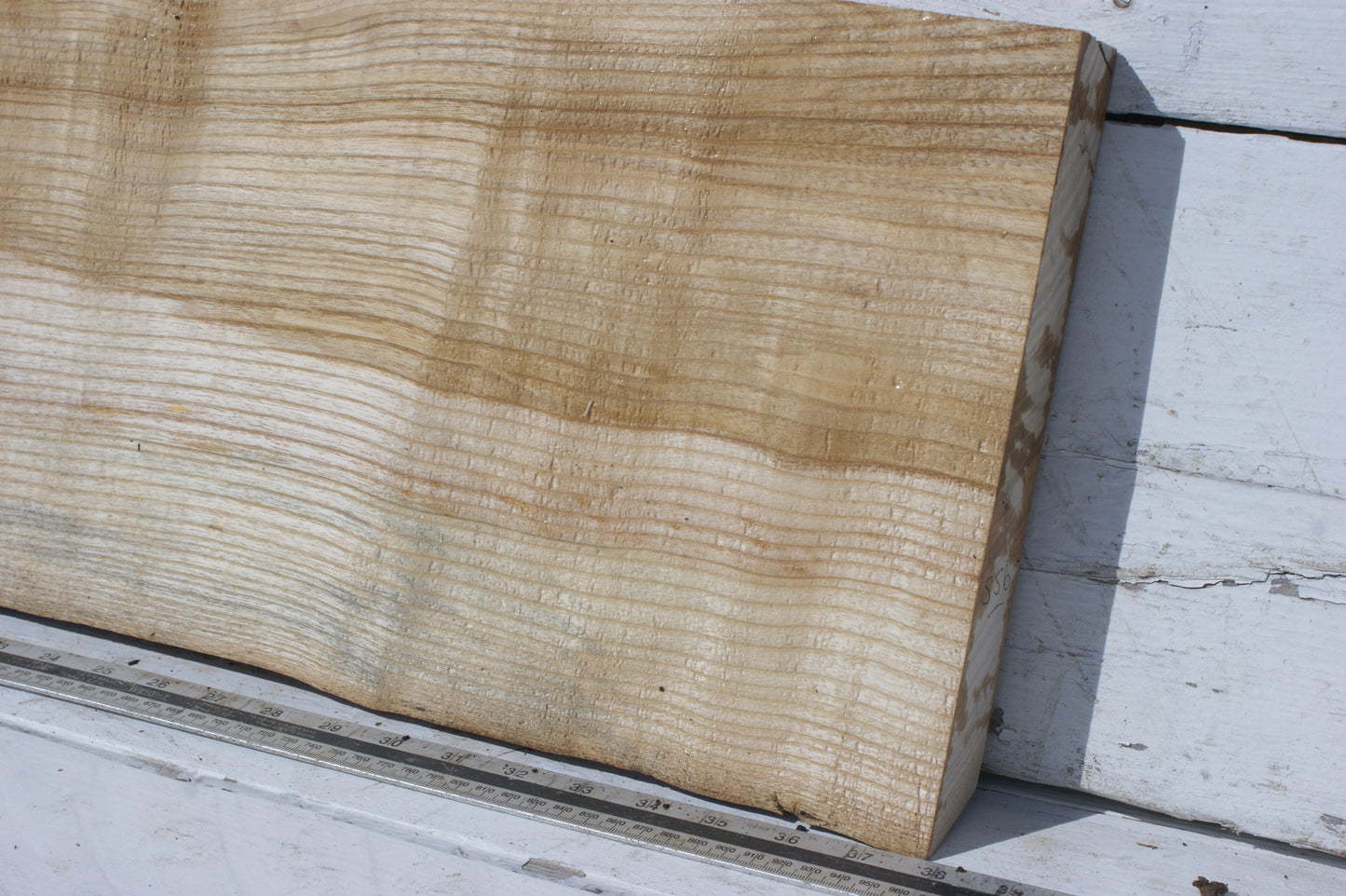 English Ash board (556)