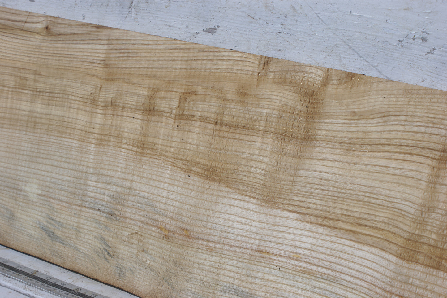 English Ash board (556)