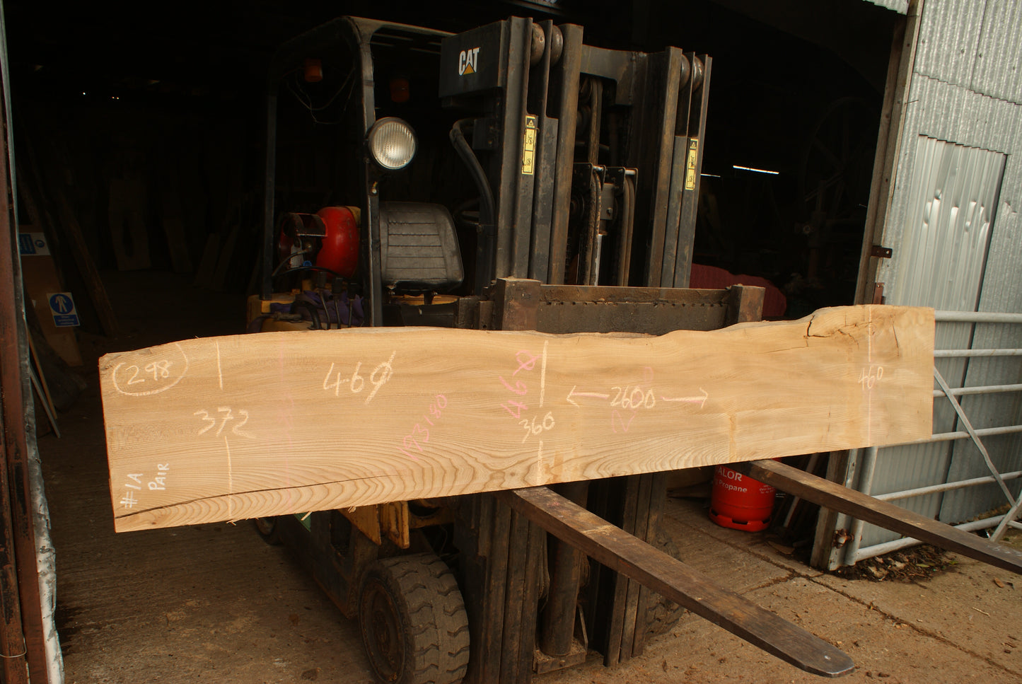 Elm Slab, Kiln Dried 2600 L x 460 - 342 W x 46 D mm (298)