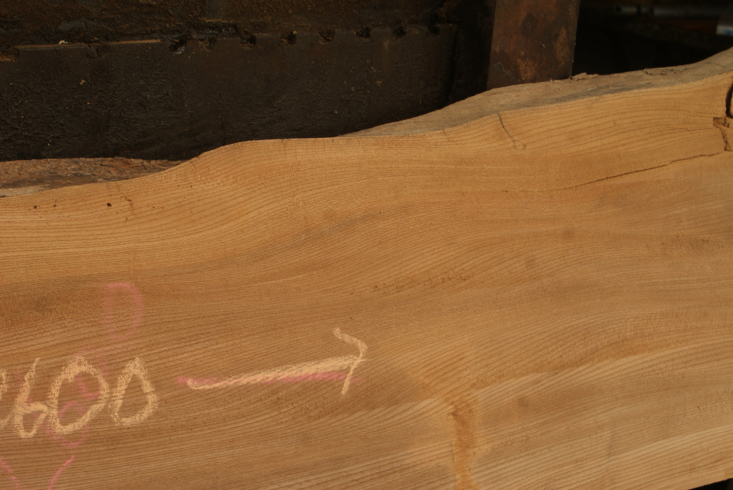 Elm Slab, Kiln Dried 2600 L x 460 - 342 W x 46 D mm (298)