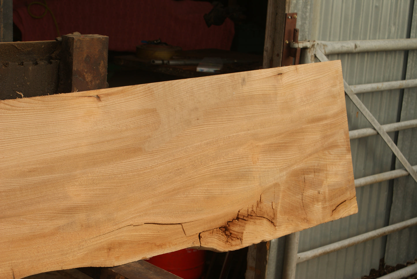 Elm Slab, Kiln Dried 2600 L x 460 - 342 W x 46 D mm (298)
