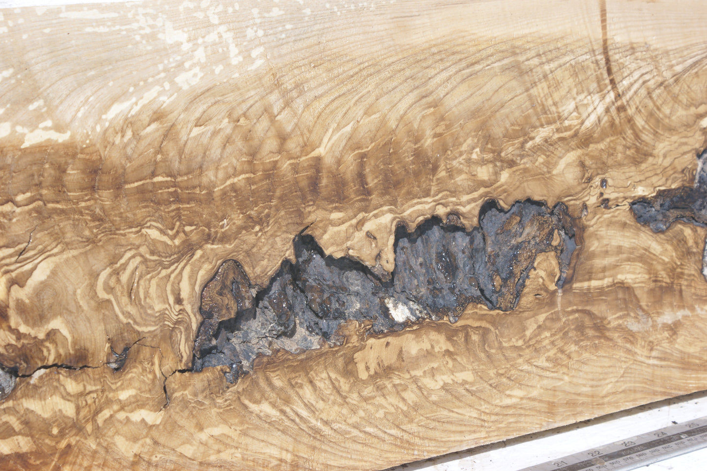 English Ash board (557)