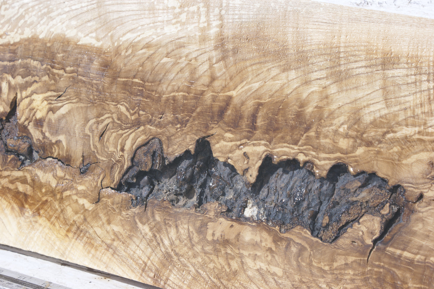 English Ash board (557)