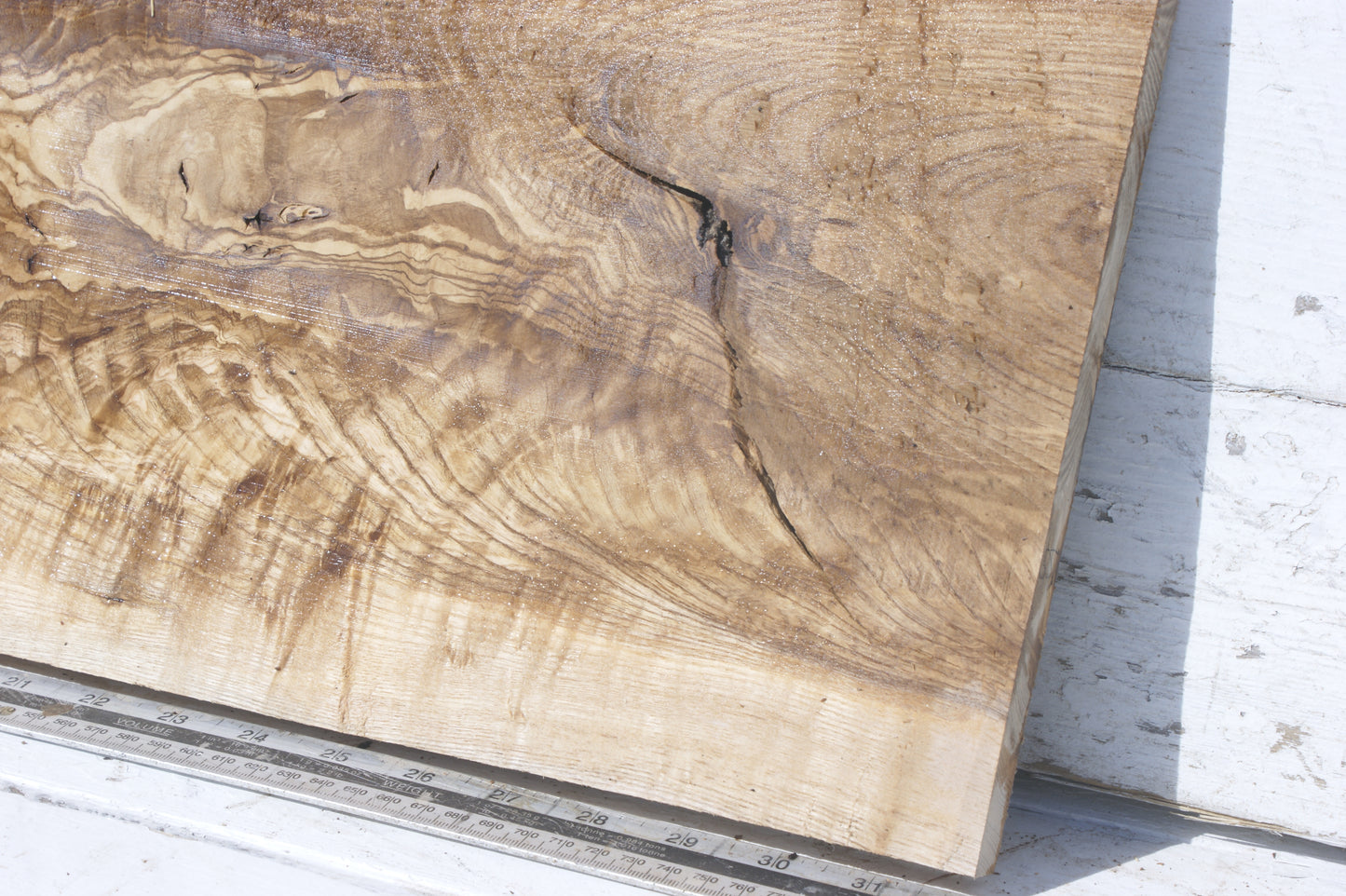English Ash board (557)