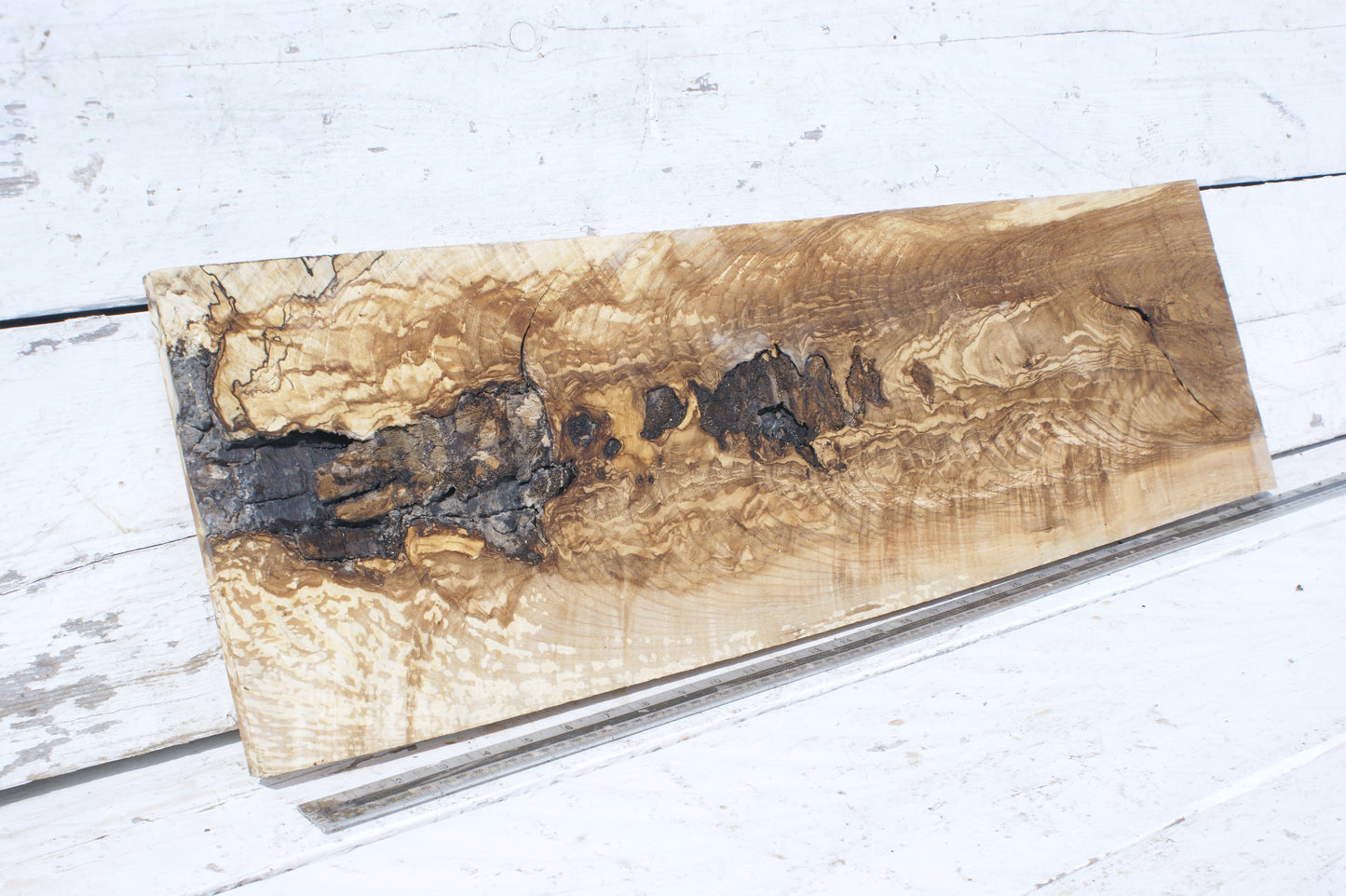 English Ash board (557)