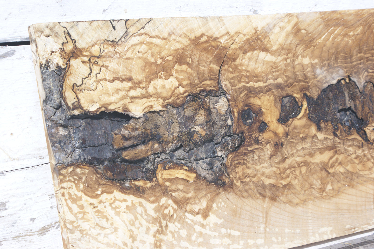 English Ash board (557)