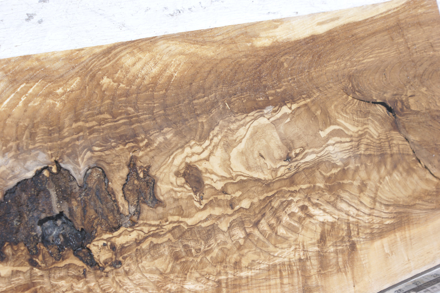 English Ash board (557)