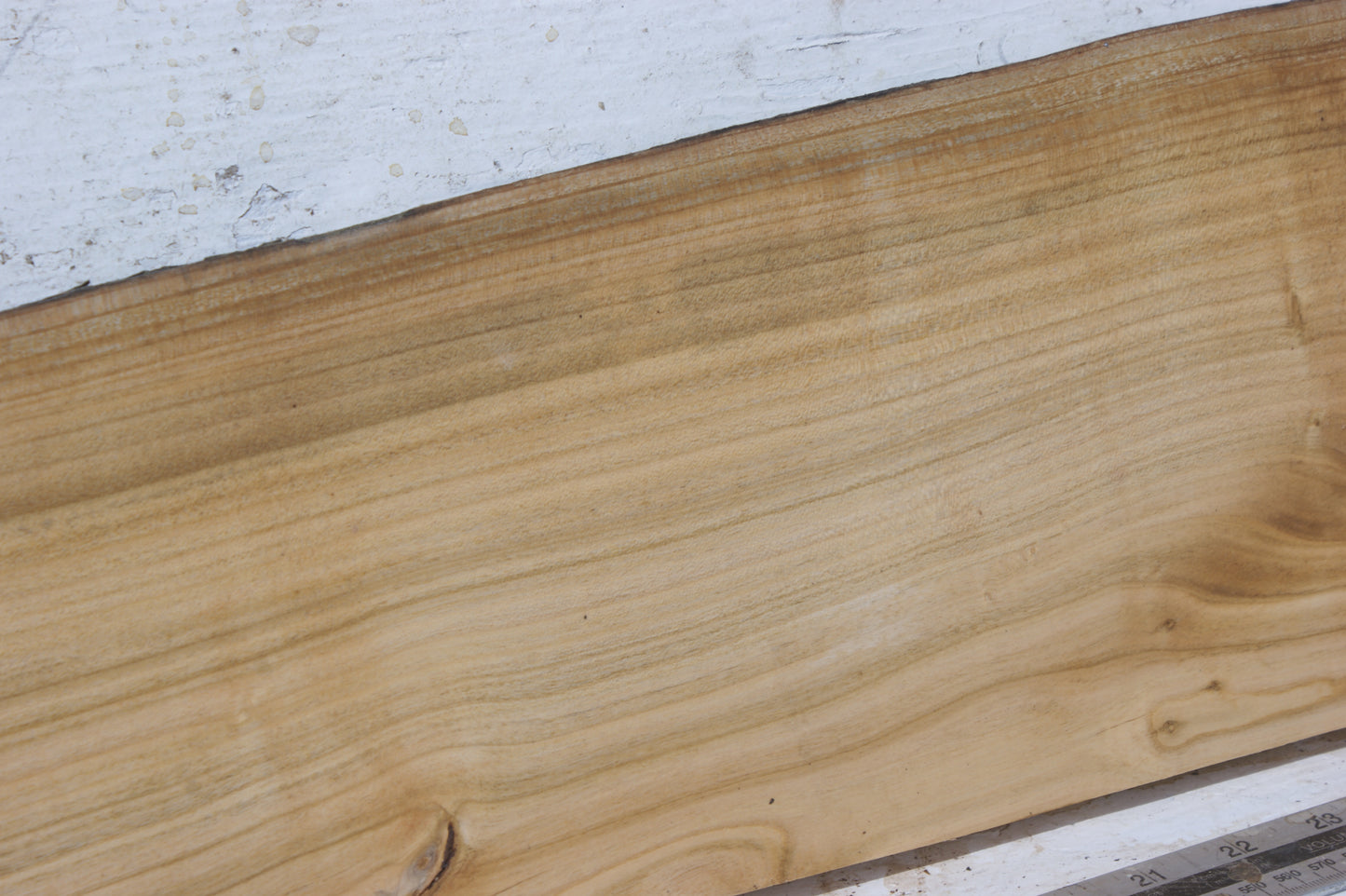 English cherry board (558)