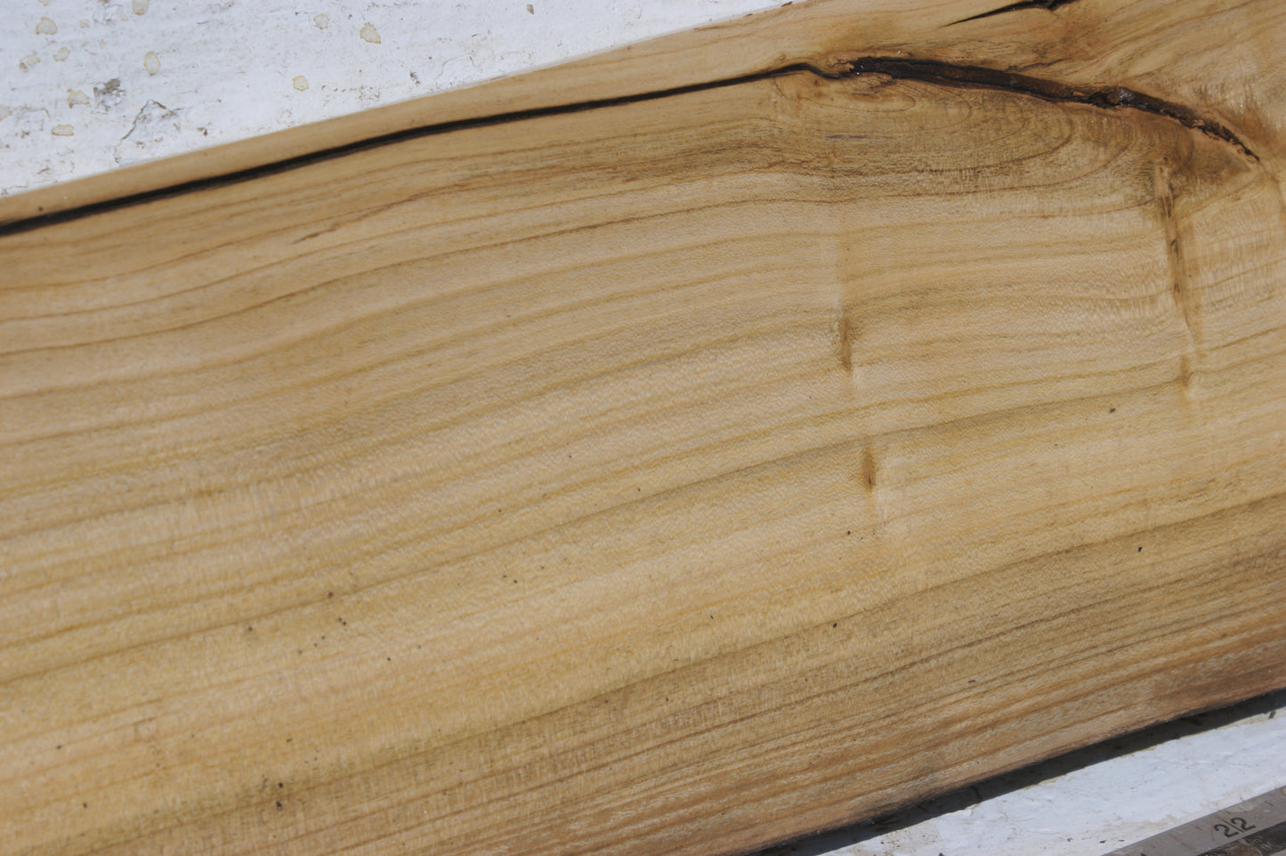 English cherry board (558)
