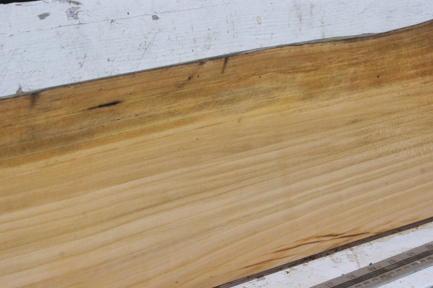 English cherry board (559)