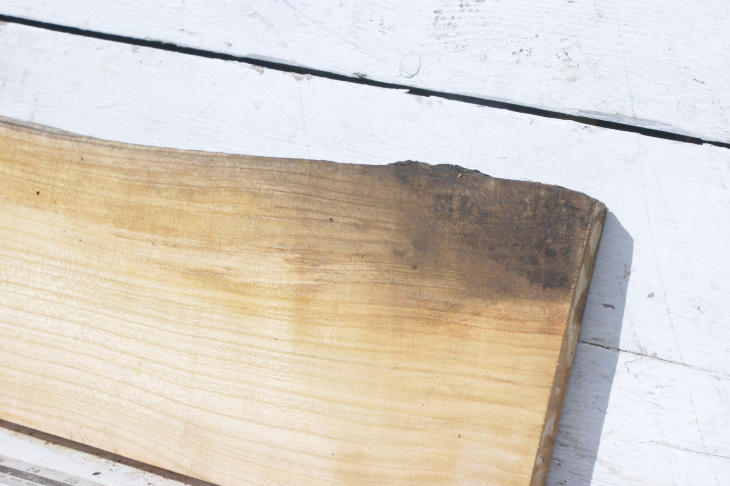 English cherry board (559)