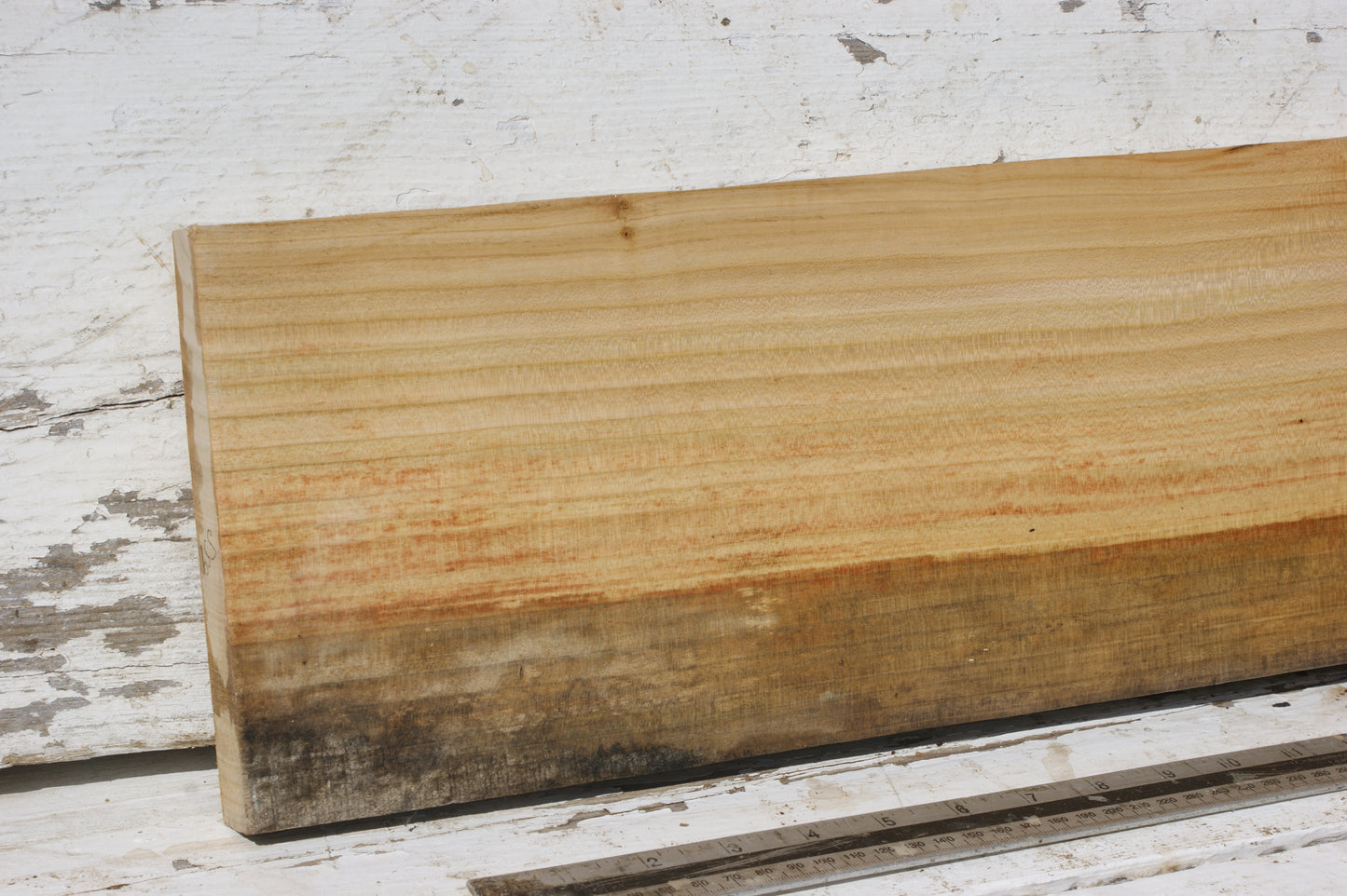 English cherry board (559)