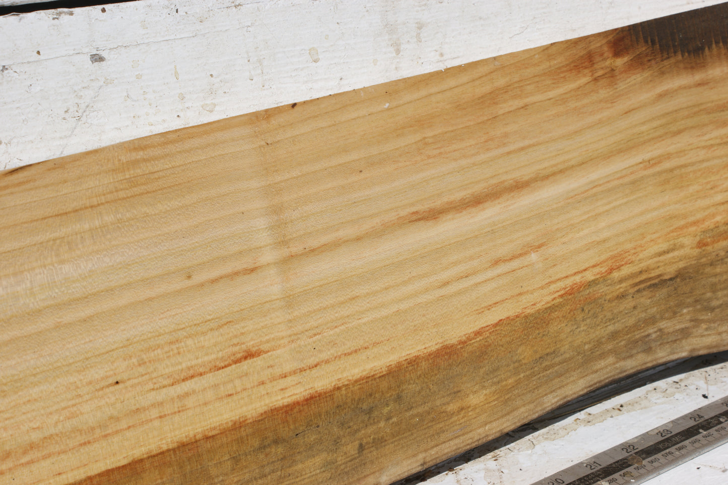 English cherry board (559)
