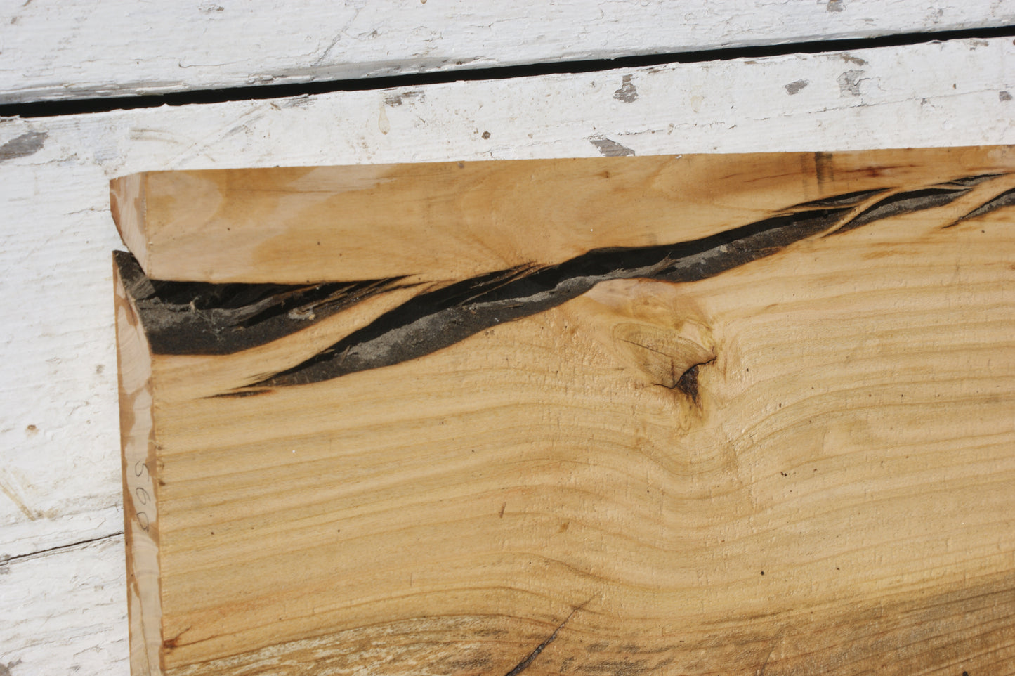 English cherry board (560)