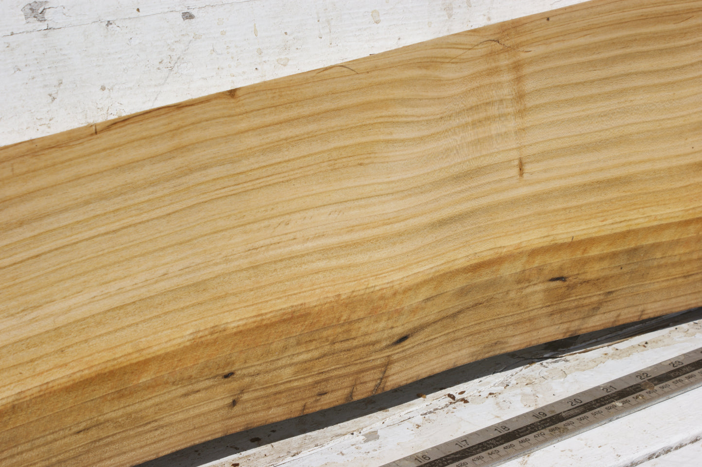 English cherry board (561)