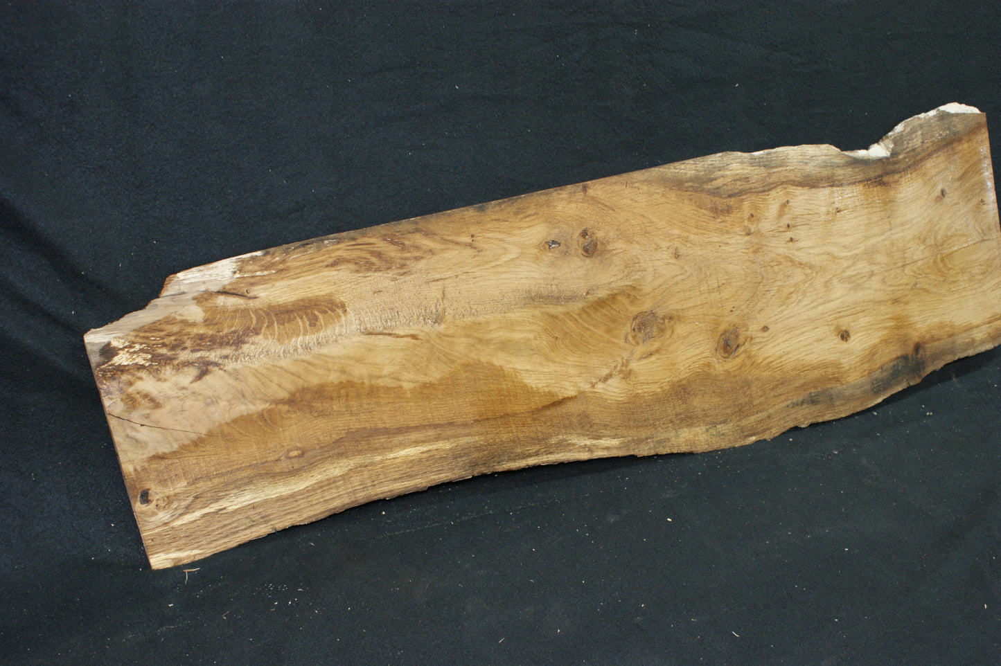 Oak 1196 L x 342-205 W x 19 D mm (585)