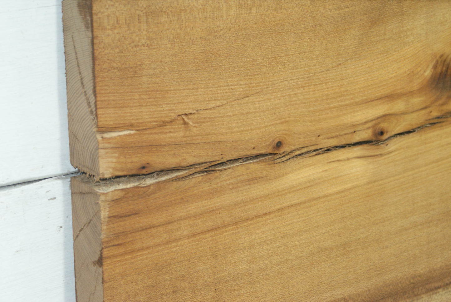 Elm 1008 L x 450 - 380 W x 39 mm D (425)