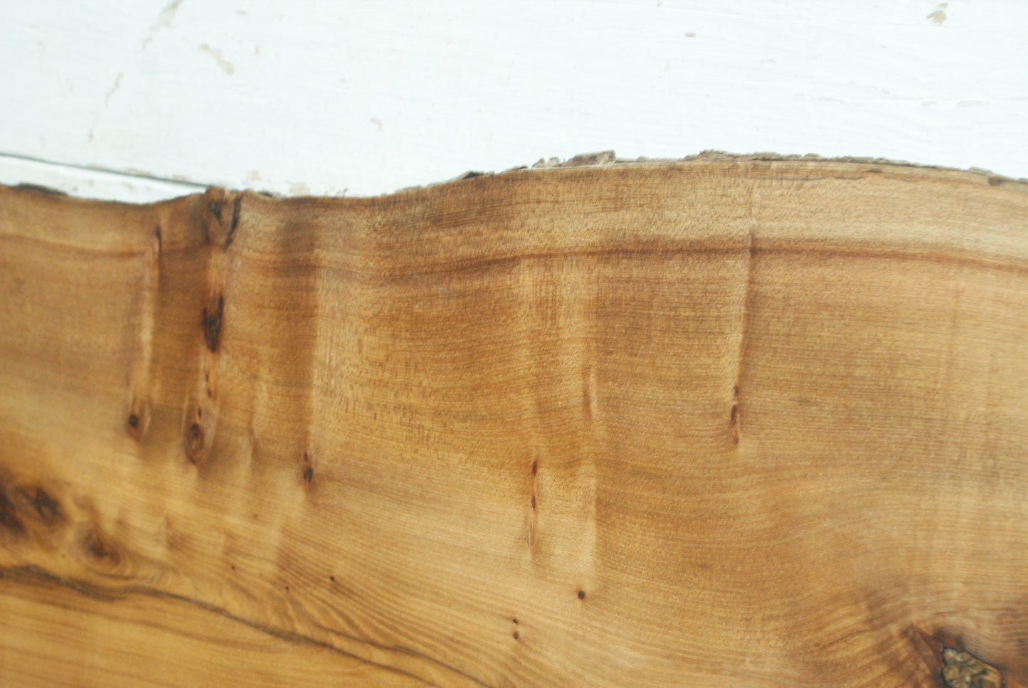 Elm 1008 L x 450 - 380 W x 39 mm D (425)