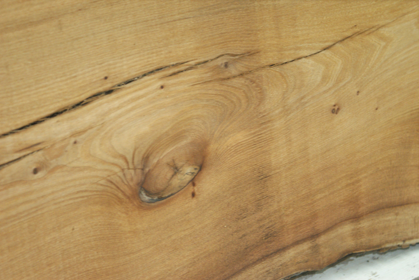 Elm 1008 L x 450 - 380 W x 39 mm D (425)