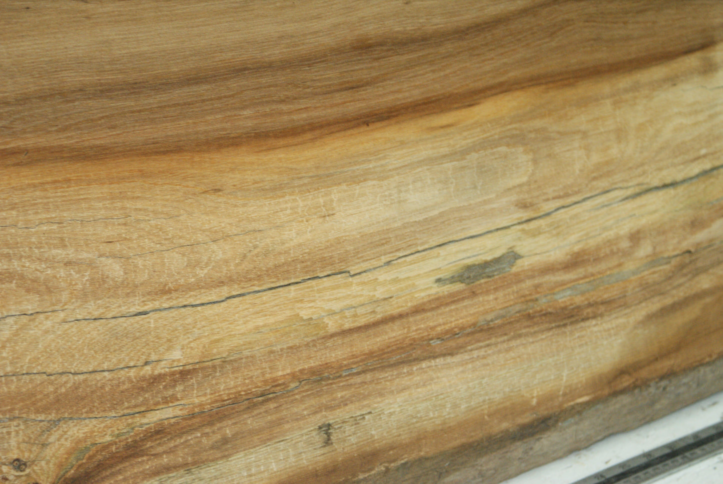 Elm 904 L x 404 - 390 W x 37 mm D (426)