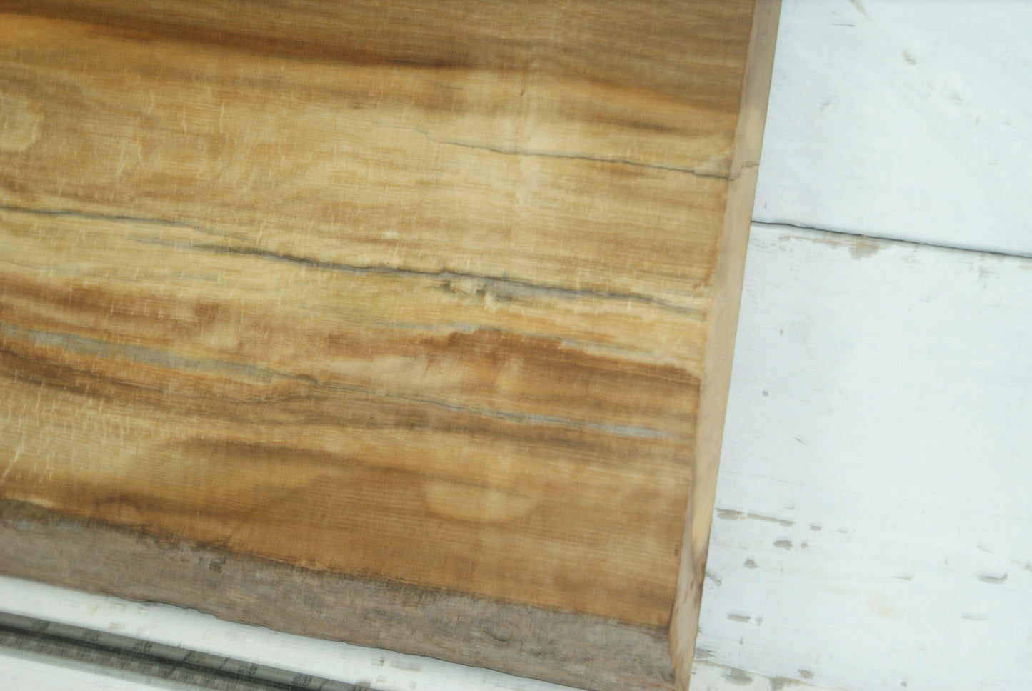 Elm 904 L x 404 - 390 W x 37 mm D (426)