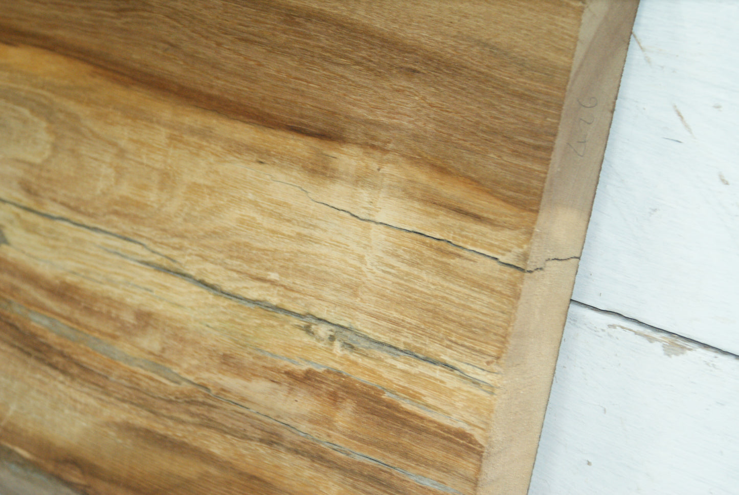 Elm 904 L x 404 - 390 W x 37 mm D (426)