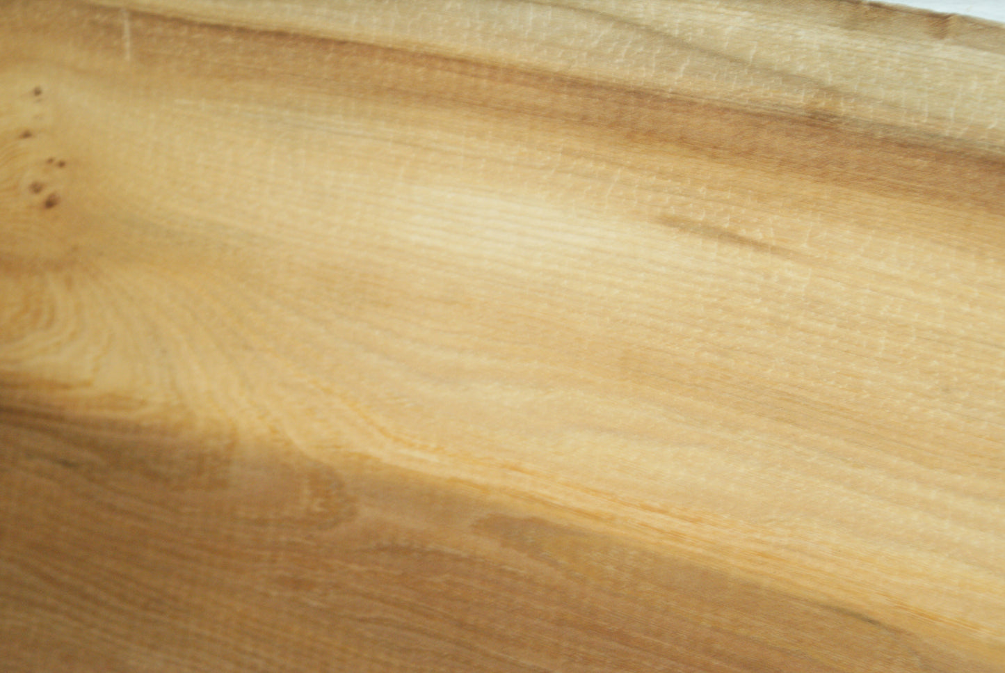 Elm 904 L x 404 - 390 W x 37 mm D (426)