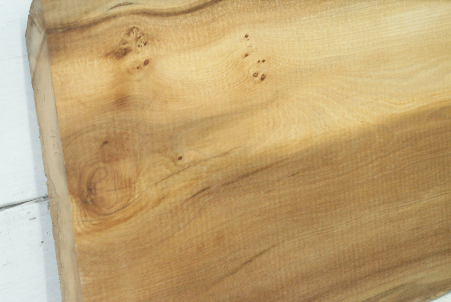 Elm 904 L x 404 - 390 W x 37 mm D (426)