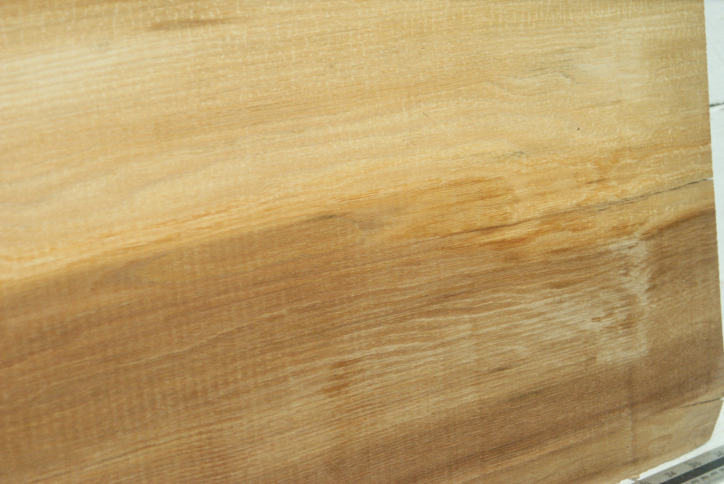 Elm 904 L x 404 - 390 W x 37 mm D (426)